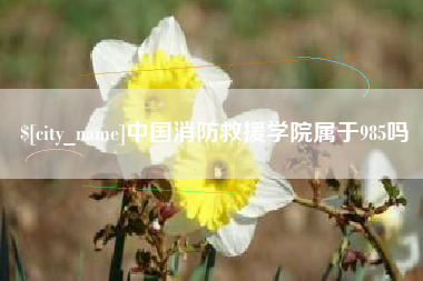 丹东中国消防救援学院属于985吗