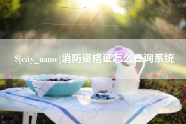 丹东消防资格证怎么查询系统