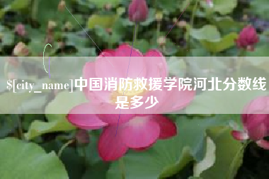 丹东中国消防救援学院河北分数线是多少