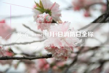 丹东11月9日消防日全称