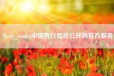 丹东中国执行信息公开网官方服务