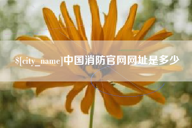 丹东中国消防官网网址是多少