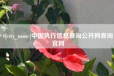 丹东中国执行信息查询公开网查询官网