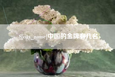 丹东中国的金牌有几名