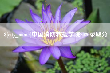 丹东中国消防救援学院2020录取分