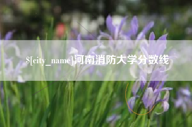丹东河南消防大学分数线