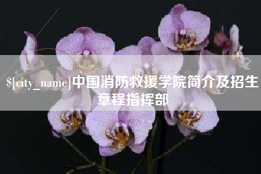 丹东中国消防救援学院简介及招生章程指挥部