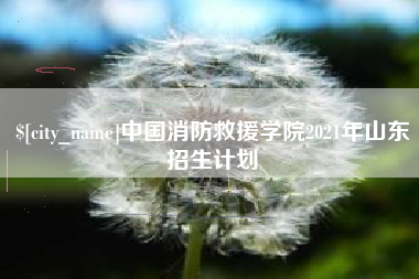 丹东中国消防救援学院2021年山东招生计划