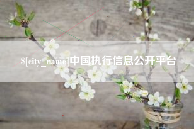 丹东中国执行信息公开平台