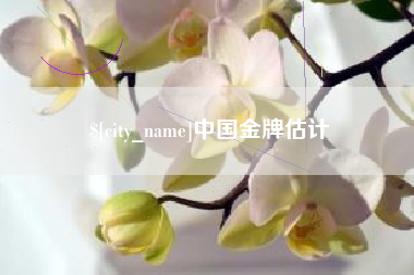 丹东中国金牌估计