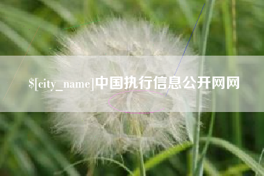 丹东中国执行信息公开网网