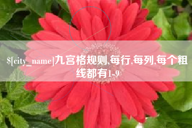 丹东九宫格规则,每行,每列,每个粗线都有1-9