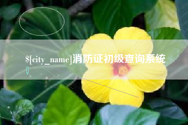 丹东消防证初级查询系统