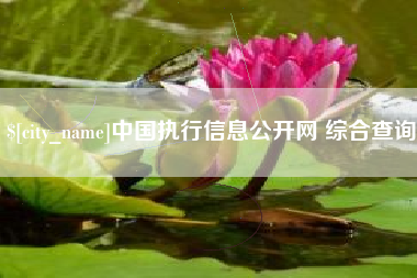 丹东中国执行信息公开网 综合查询