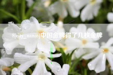 丹东中国金牌得了几枚金牌
