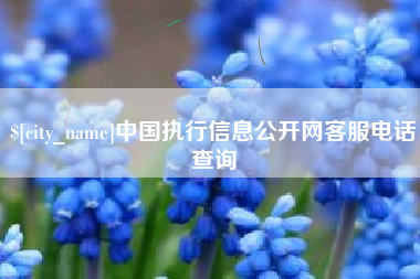 丹东中国执行信息公开网客服电话查询