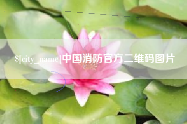 丹东中国消防官方二维码图片