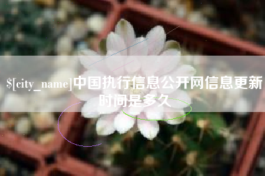 丹东中国执行信息公开网信息更新时间是多久