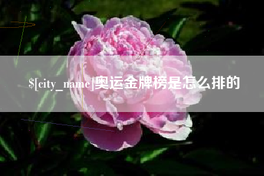 丹东奥运金牌榜是怎么排的
