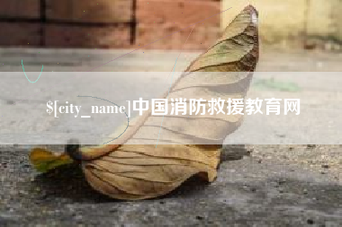 丹东中国消防救援教育网