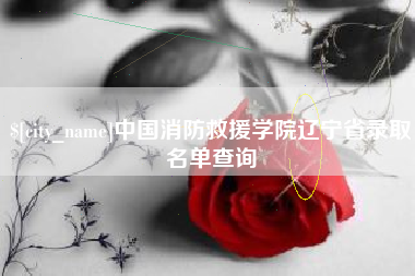 丹东中国消防救援学院辽宁省录取名单查询