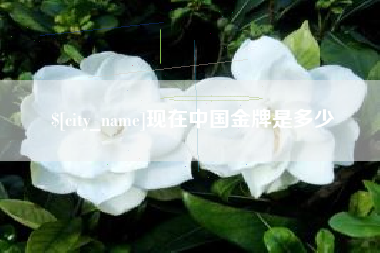 丹东现在中国金牌是多少
