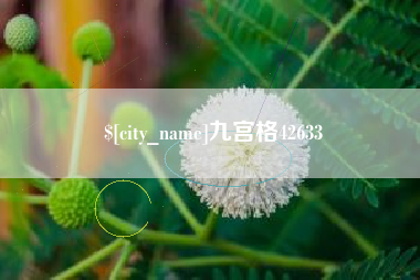 丹东九宫格42633