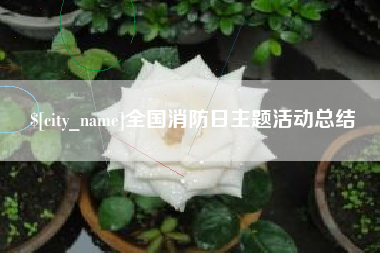 丹东全国消防日主题活动总结