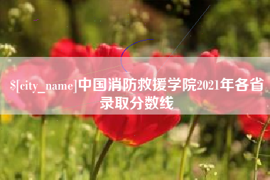 丹东中国消防救援学院2021年各省录取分数线