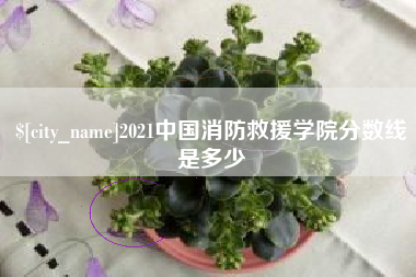 丹东2021中国消防救援学院分数线是多少