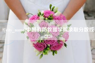 丹东中国消防救援学院录取分数线2020
