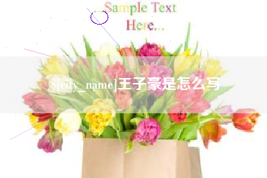 丹东王子豪是怎么写