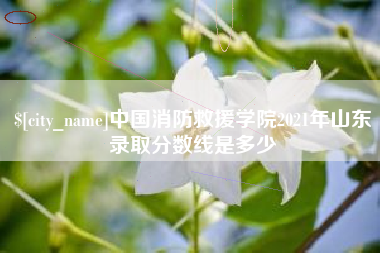 丹东中国消防救援学院2021年山东录取分数线是多少