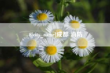 丹东成都 消防