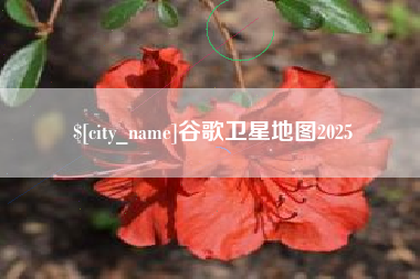 丹东谷歌卫星地图2025