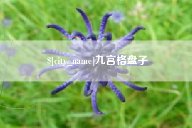 丹东九宫格盘子