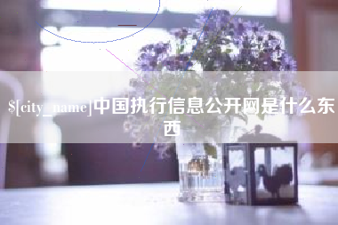 丹东中国执行信息公开网是什么东西