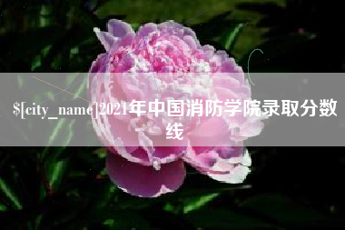 丹东2021年中国消防学院录取分数线