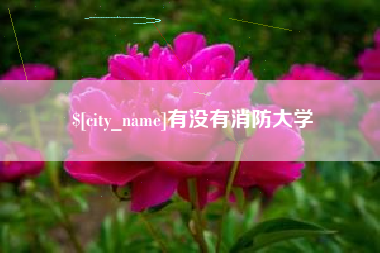 丹东有没有消防大学