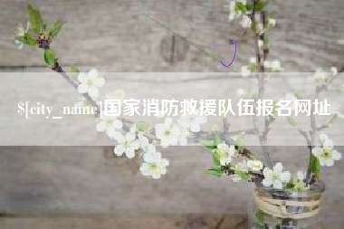 丹东国家消防救援队伍报名网址