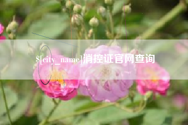 丹东消控证官网查询