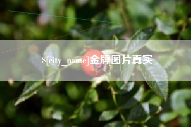 丹东金牌图片真实
