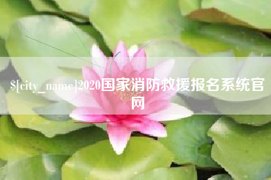 丹东2020国家消防救援报名系统官网