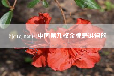 丹东中国第九枚金牌是谁得的