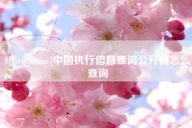 丹东中国执行信息查询公开网怎么查询