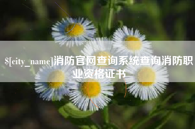 丹东消防官网查询系统查询消防职业资格证书