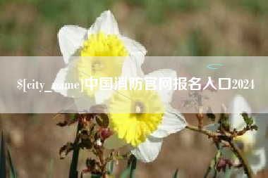 丹东中国消防官网报名入口2024