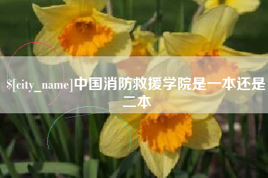 丹东中国消防救援学院是一本还是二本