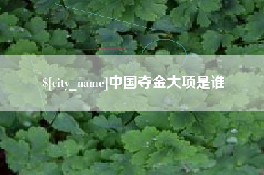 丹东中国夺金大项是谁