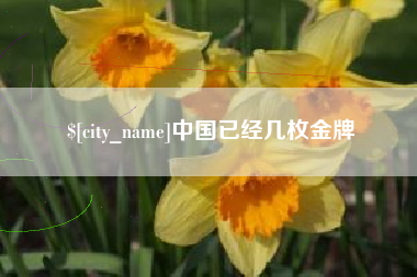 丹东中国已经几枚金牌